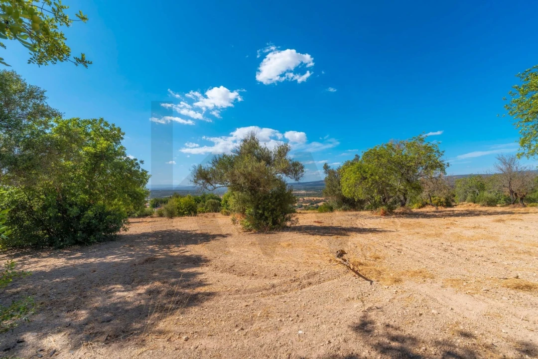 Terreno para Venda em Paderne Foto 61