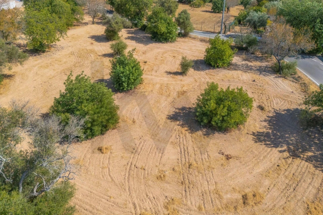 Terreno para Venda em Paderne Foto 35