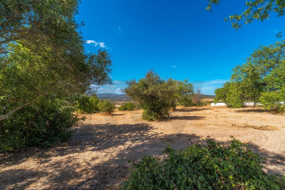 Terreno para Venda em Paderne Foto 47