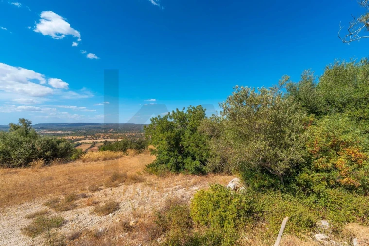 Terreno para Venda em Paderne Foto 56