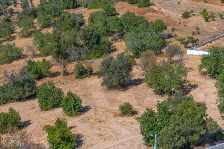 Terreno para Venda em Paderne Foto 12