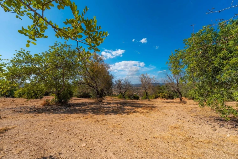 Terreno para Venda em Paderne Foto 49