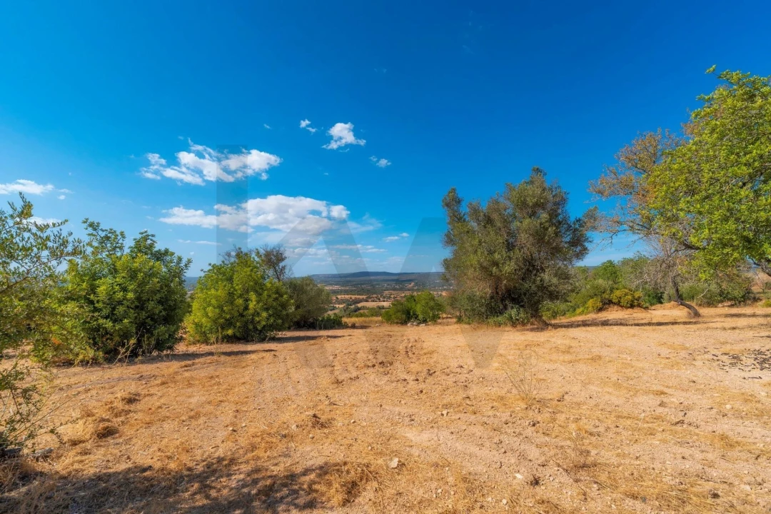 Terreno para Venda em Paderne Foto 51