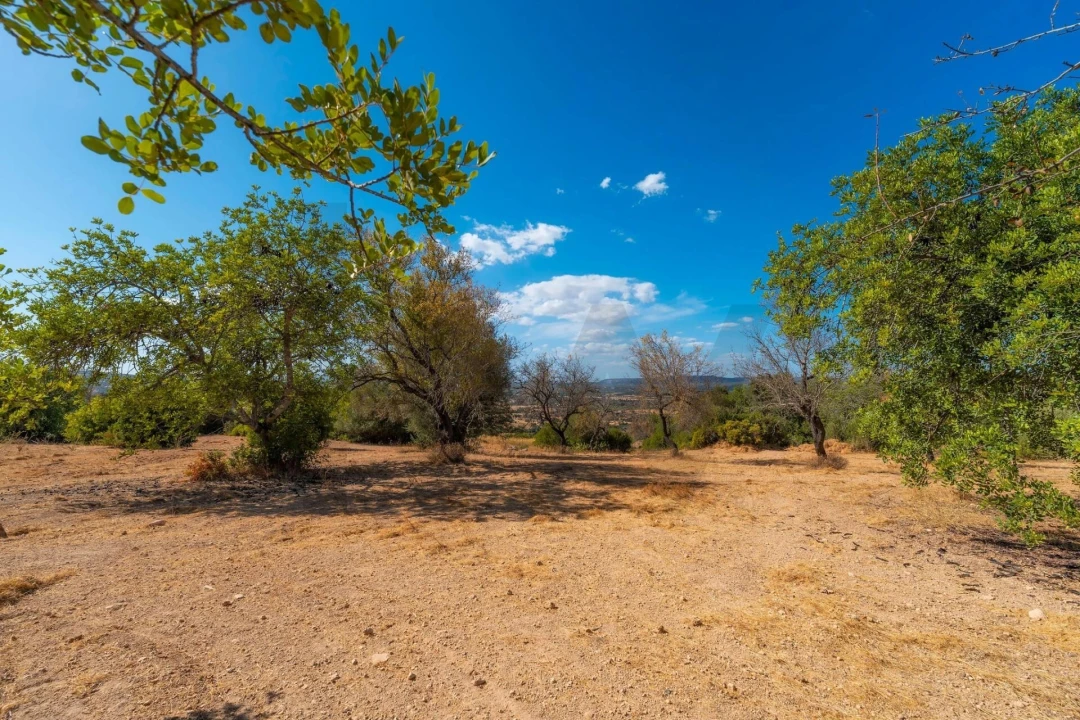 Terreno para Venda em Paderne Foto 49