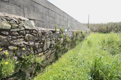 Terreno para Venda em São Martinho de Árvore e Lamarosa