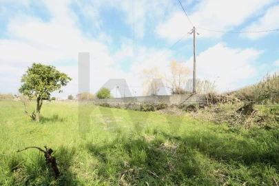 Terreno para Venda em São Martinho de Árvore e Lamarosa