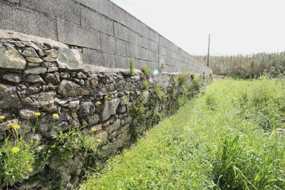 Terreno para Venda em São Martinho de Árvore e Lamarosa Foto 3