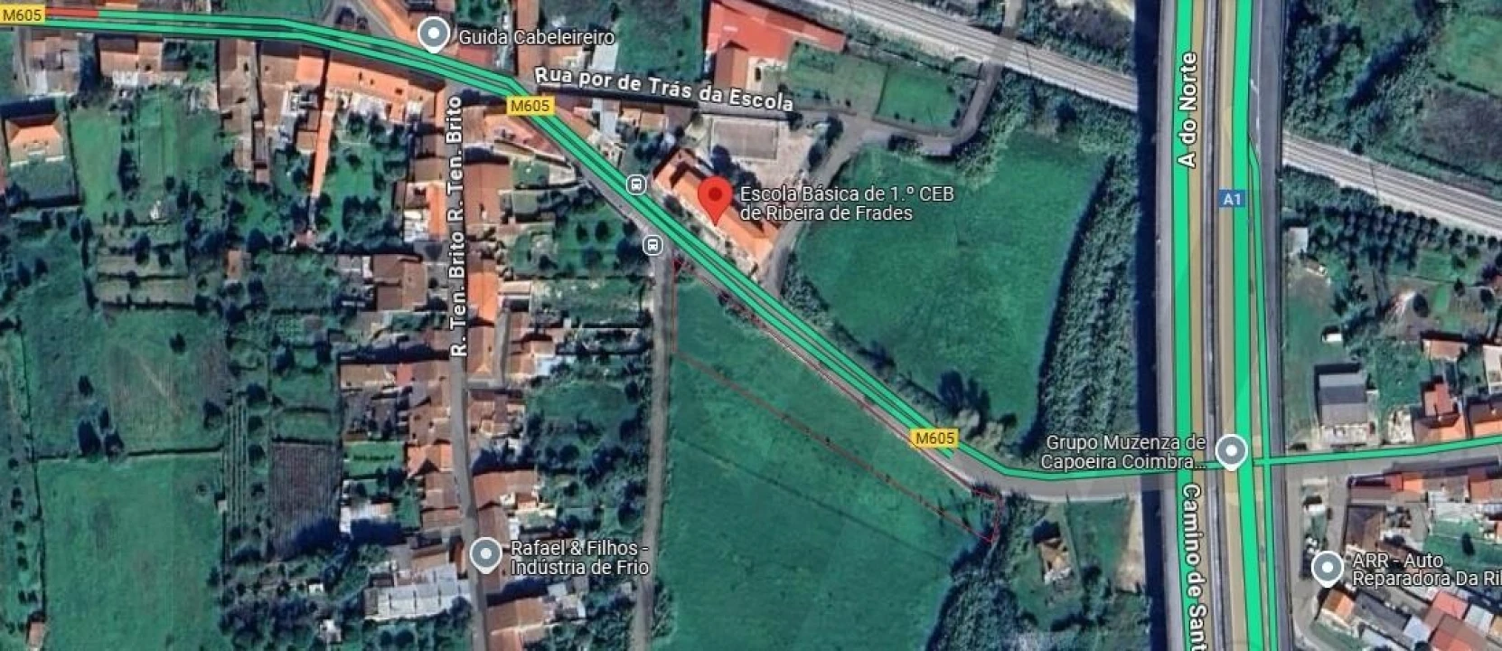 Terreno para Venda em São Martinho de Árvore e Lamarosa Foto 9