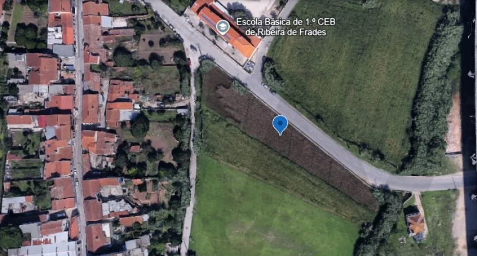 Terreno para Venda em São Martinho de Árvore e Lamarosa Foto 8