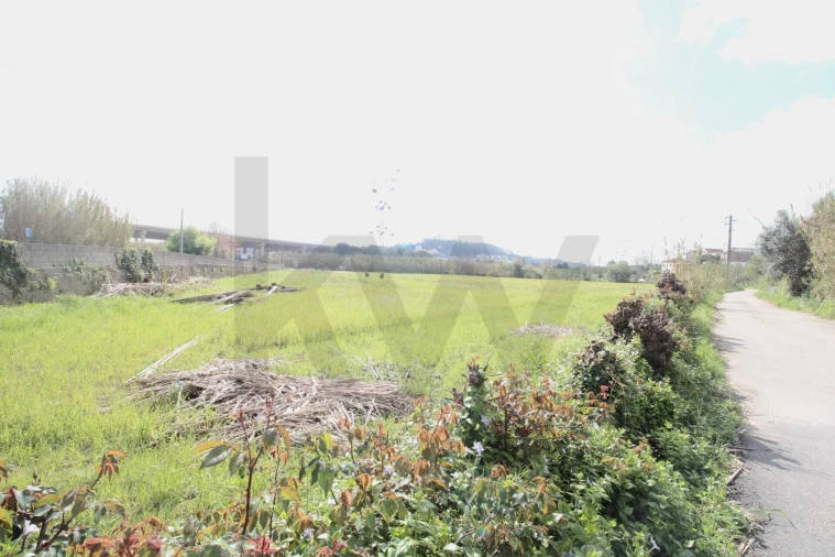 Terreno para Venda em São Martinho de Árvore e Lamarosa Foto 5