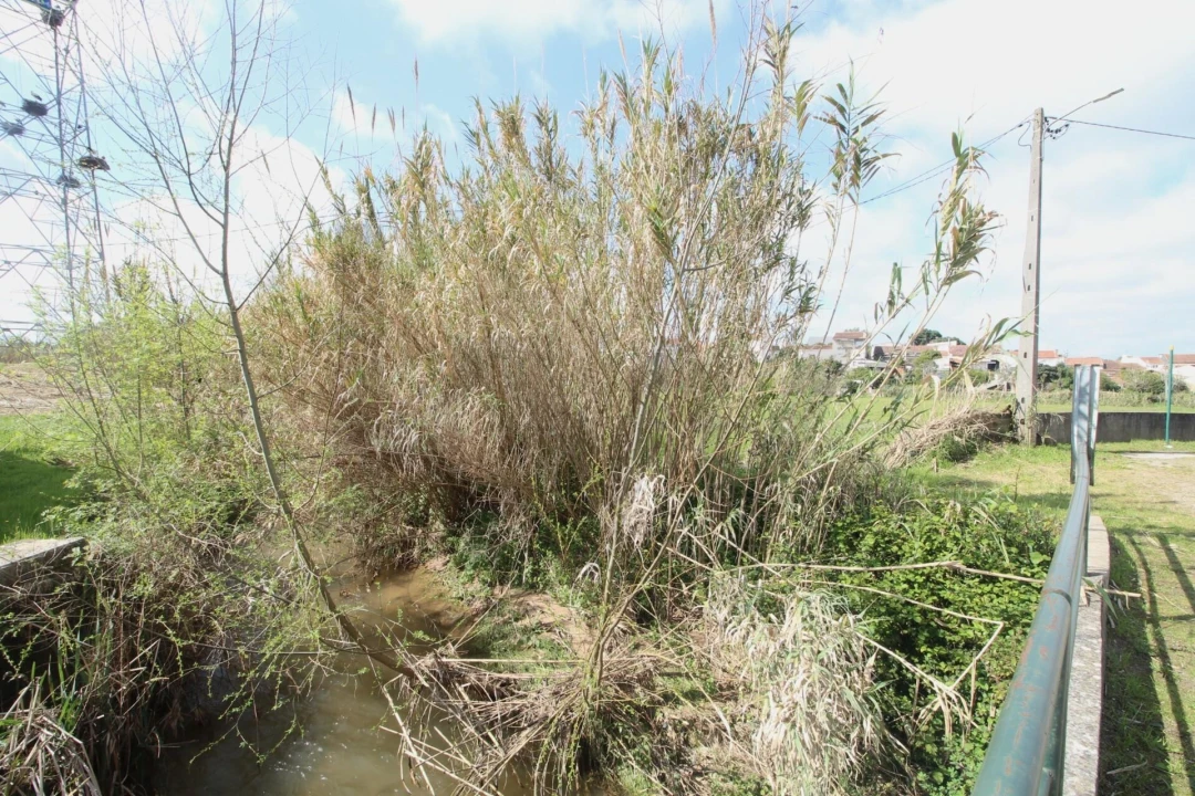 Terreno para Venda em São Martinho de Árvore e Lamarosa Foto 6
