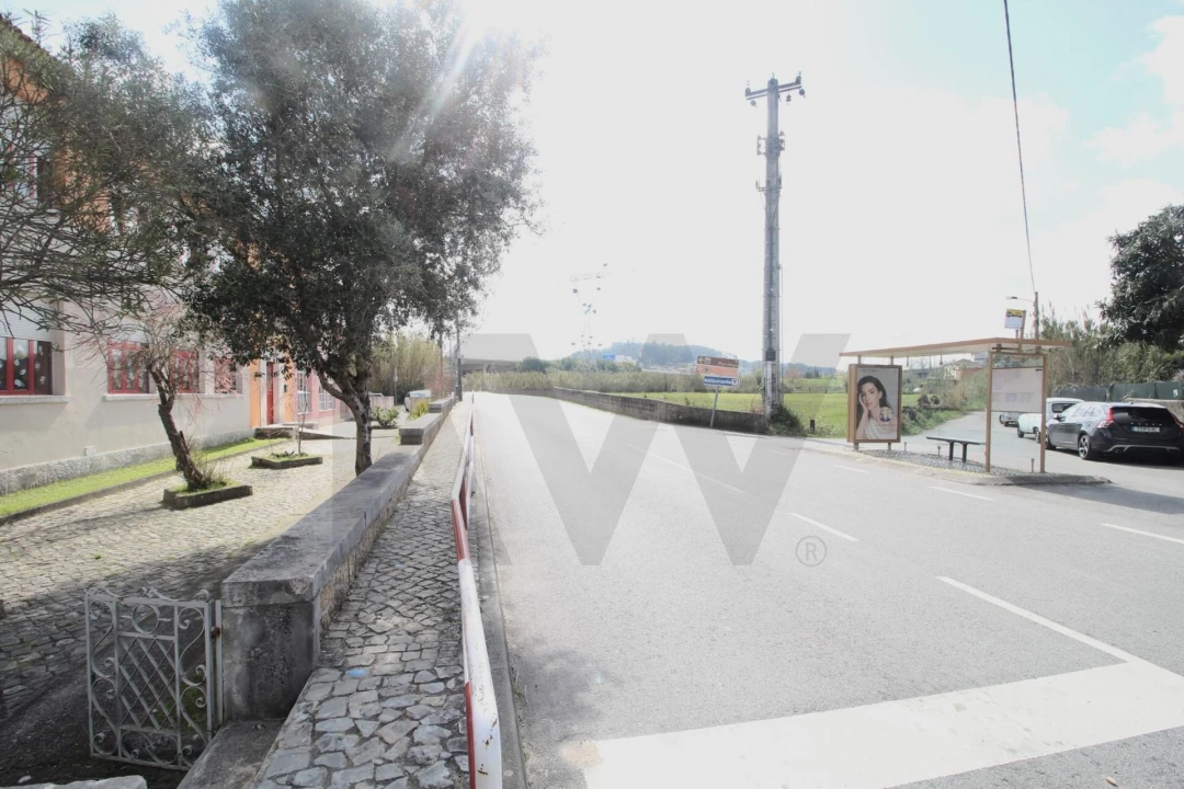 Terreno para Venda em São Martinho de Árvore e Lamarosa Foto 7