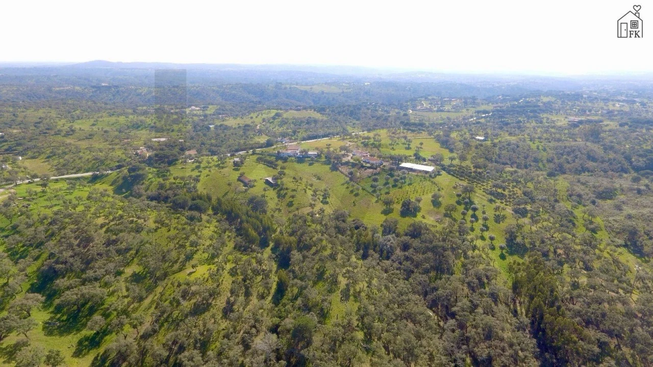 Quinta T3 para Venda em Melides Foto 7