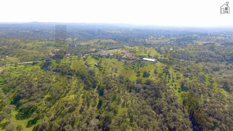 Quinta T3 para Venda em Melides Foto 7