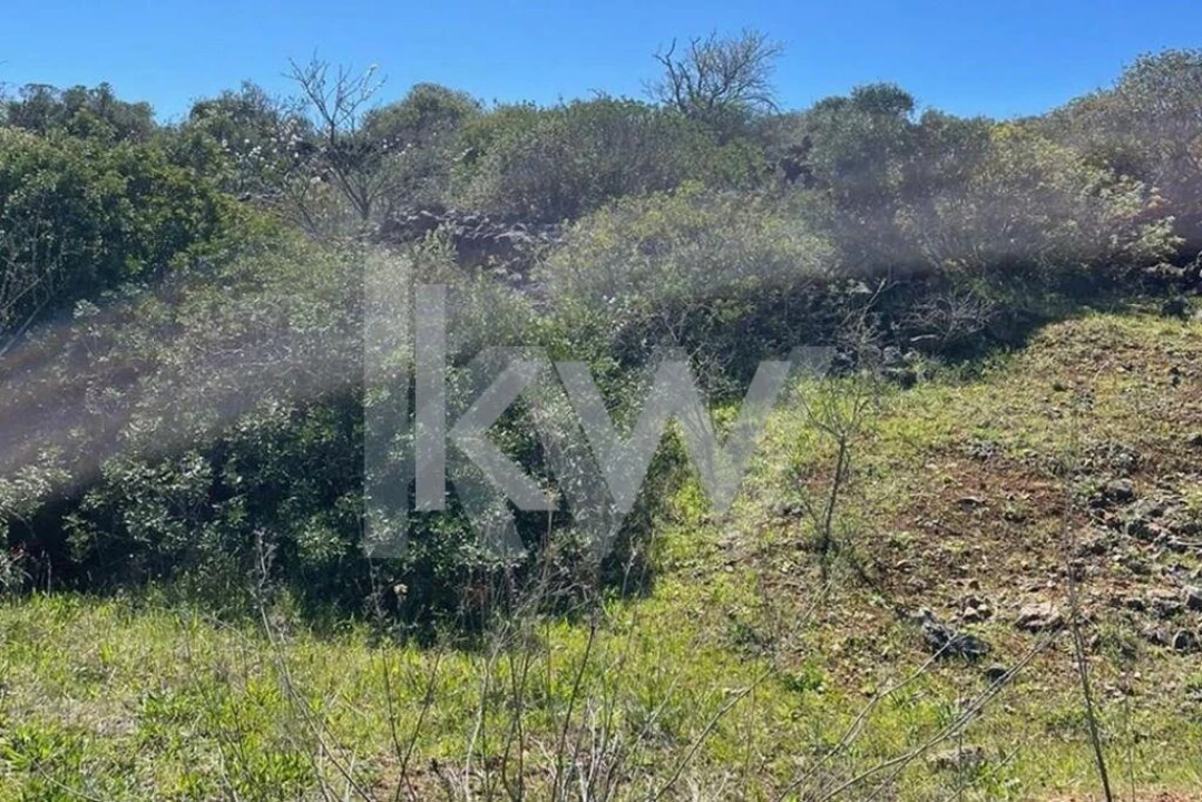 Terreno para Venda em Bensafrim e Barão de São João Foto 2