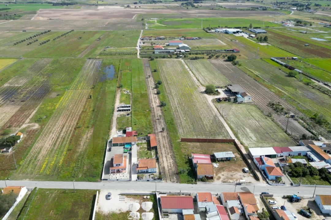 Terreno para Venda em Benfica do Ribatejo Foto 5