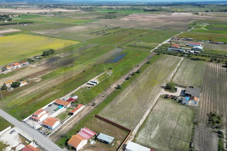 Terreno para Venda em Benfica do Ribatejo Foto 11