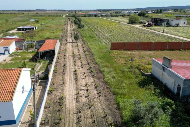 Terreno para Venda em Benfica do Ribatejo Foto 3