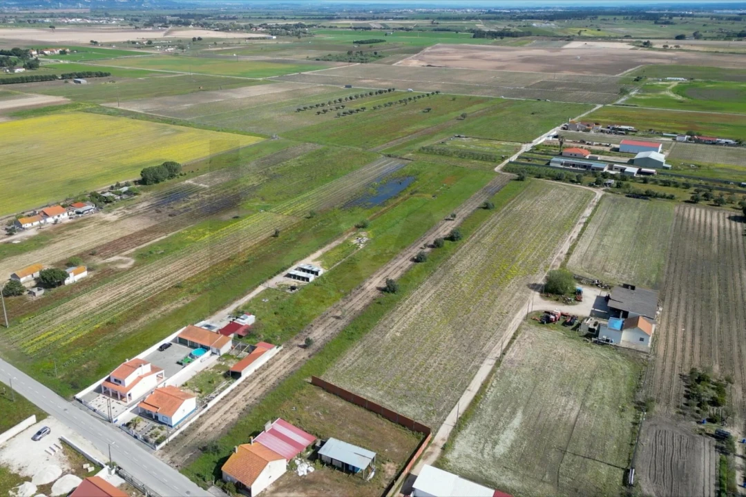 Terreno para Venda em Benfica do Ribatejo Foto 11