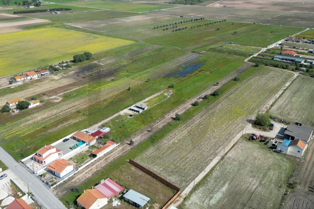 Terreno para Venda em Benfica do Ribatejo Foto 10