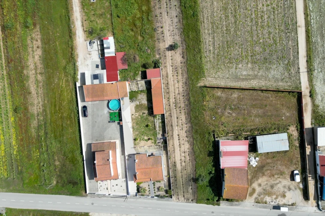 Terreno para Venda em Benfica do Ribatejo Foto 12