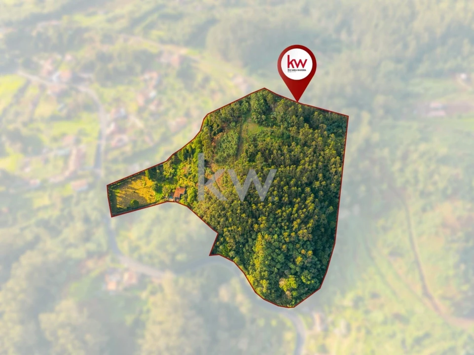 Quinta T3 para Venda em Santo Antonio da Serra Foto 6