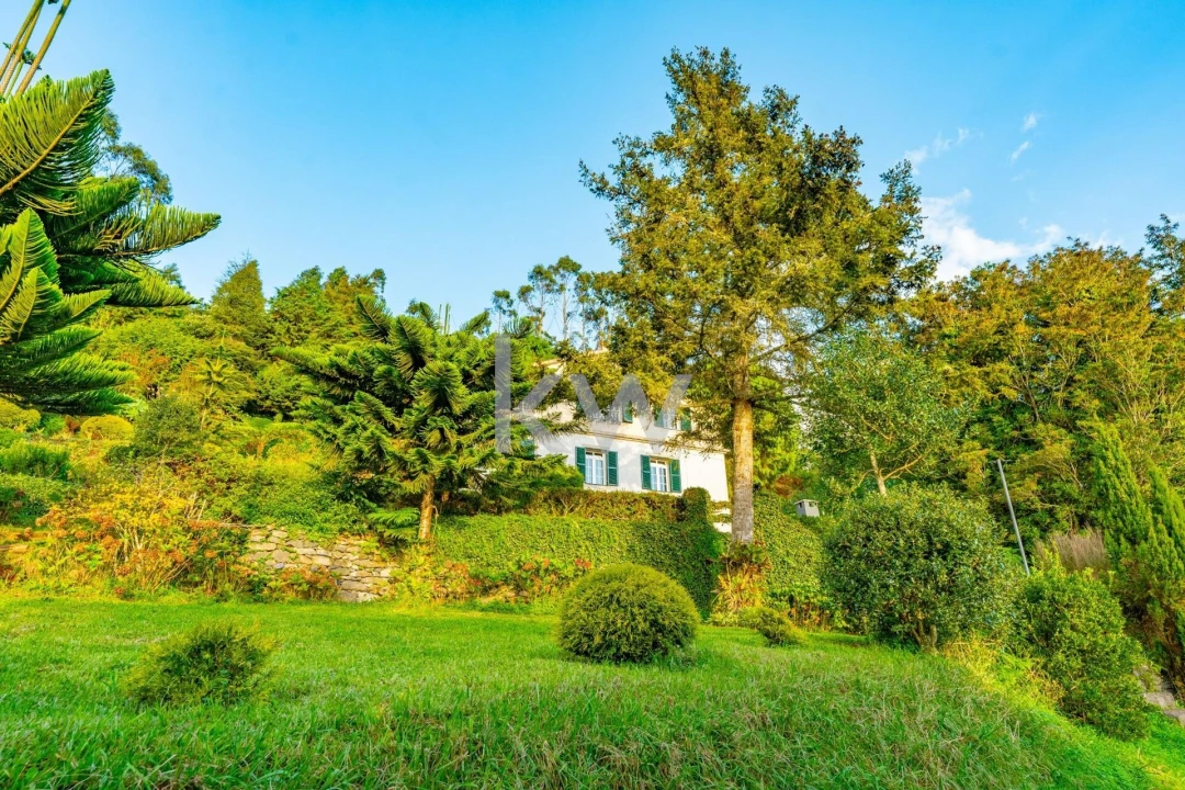 Quinta T3 para Venda em Santo Antonio da Serra Foto 58