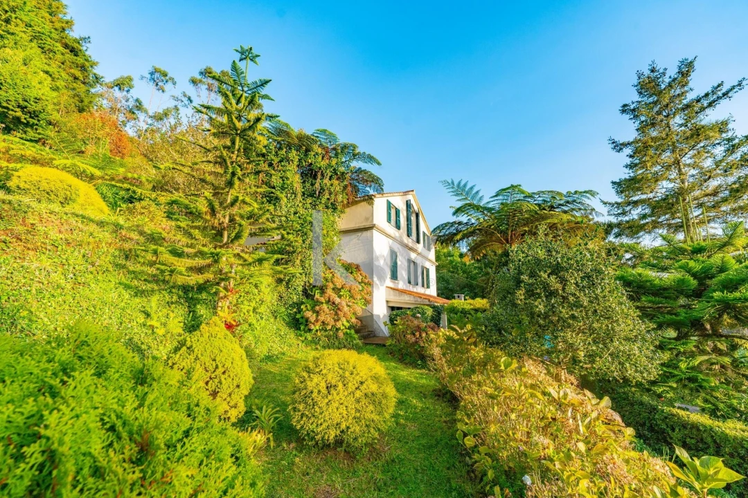 Quinta T3 para Venda em Santo Antonio da Serra Foto 64