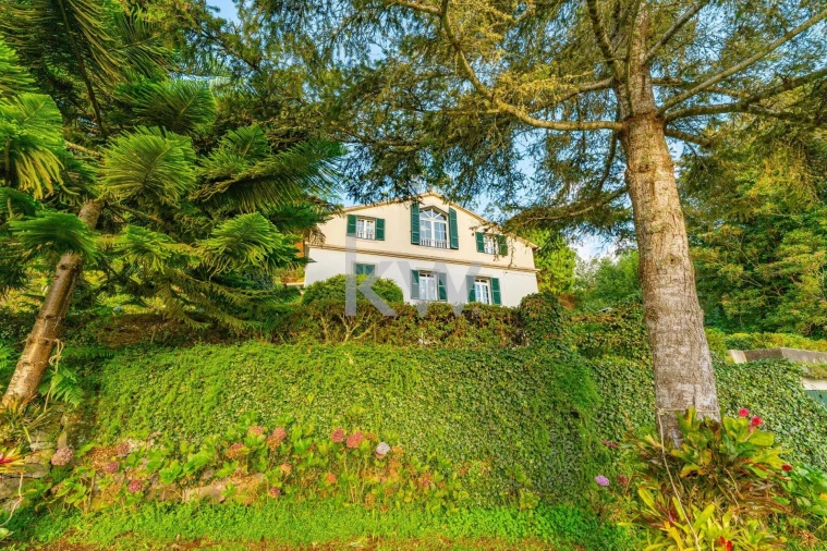 Quinta T3 para Venda em Santo Antonio da Serra Foto 59