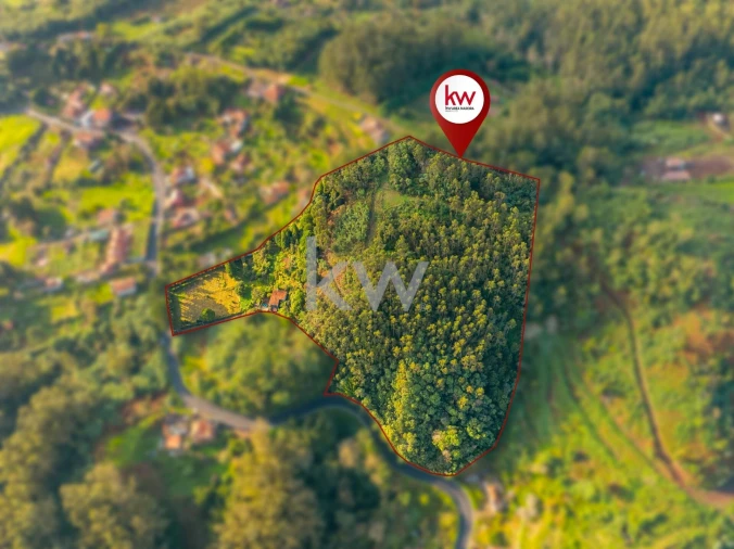 Quinta T3 para Venda em Santo Antonio da Serra Foto 45