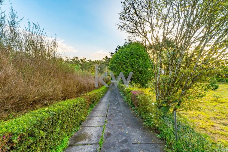 Quinta T3 para Venda em Santo Antonio da Serra Foto 48