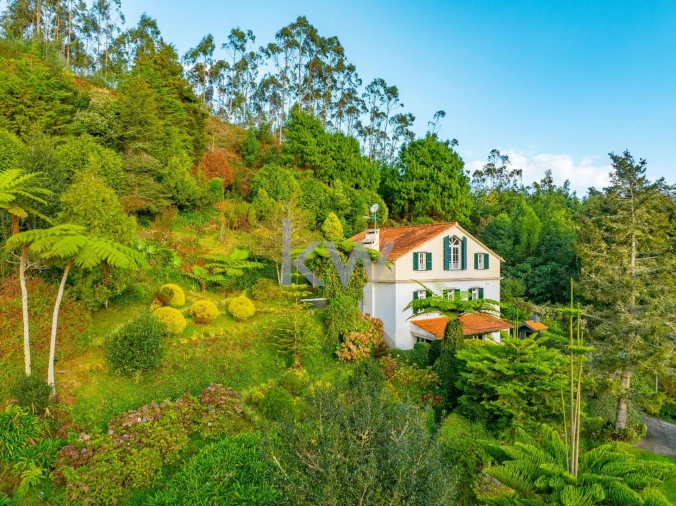 Quinta T3 para Venda em Santo Antonio da Serra Foto 5