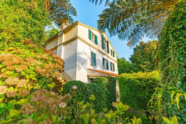 Quinta T3 para Venda em Santo Antonio da Serra Foto 62