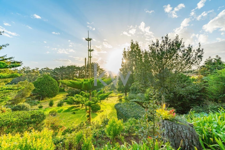 Quinta T3 para Venda em Santo Antonio da Serra Foto 65