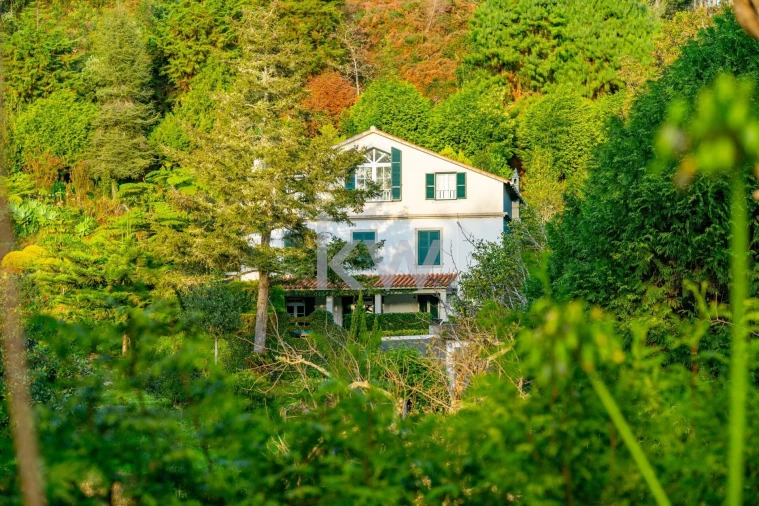 Quinta T3 para Venda em Santo Antonio da Serra Foto 47