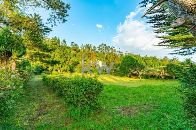 Quinta T3 para Venda em Santo Antonio da Serra Foto 56