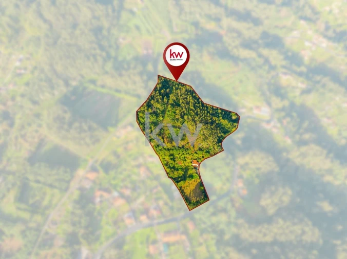 Quinta T3 para Venda em Santo Antonio da Serra Foto 44