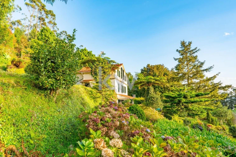 Quinta T3 para Venda em Santo Antonio da Serra Foto 63