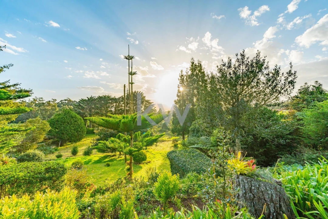 Quinta T3 para Venda em Santo Antonio da Serra Foto 65