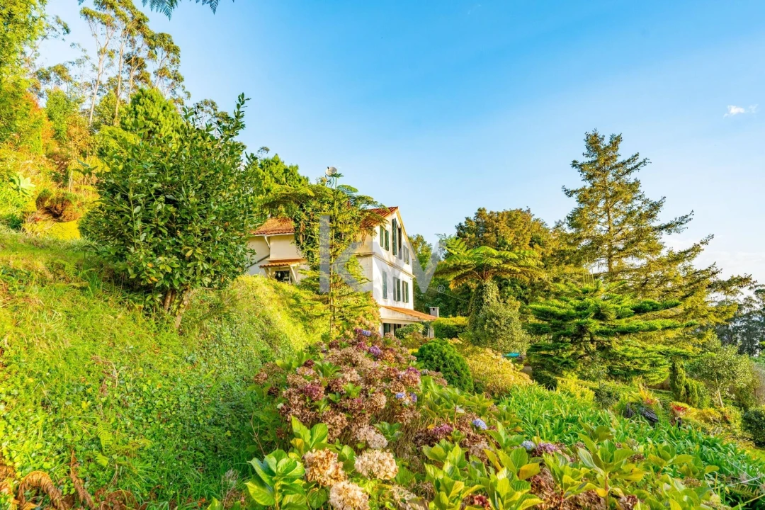 Quinta T3 para Venda em Santo Antonio da Serra Foto 63