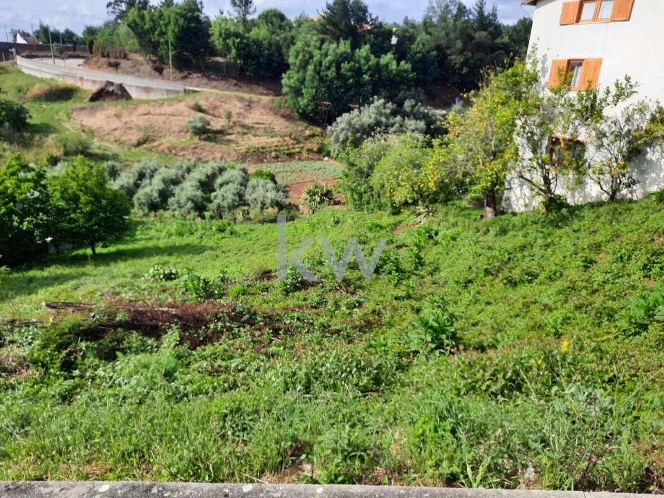 Terreno para Venda em Luso Foto 6