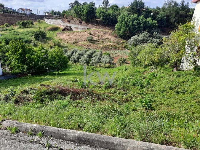 Terreno para Venda em Luso Foto 2