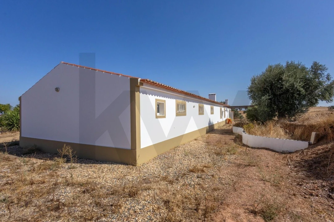 Quinta T7 para Venda em Albernoa e Trindade Foto 10