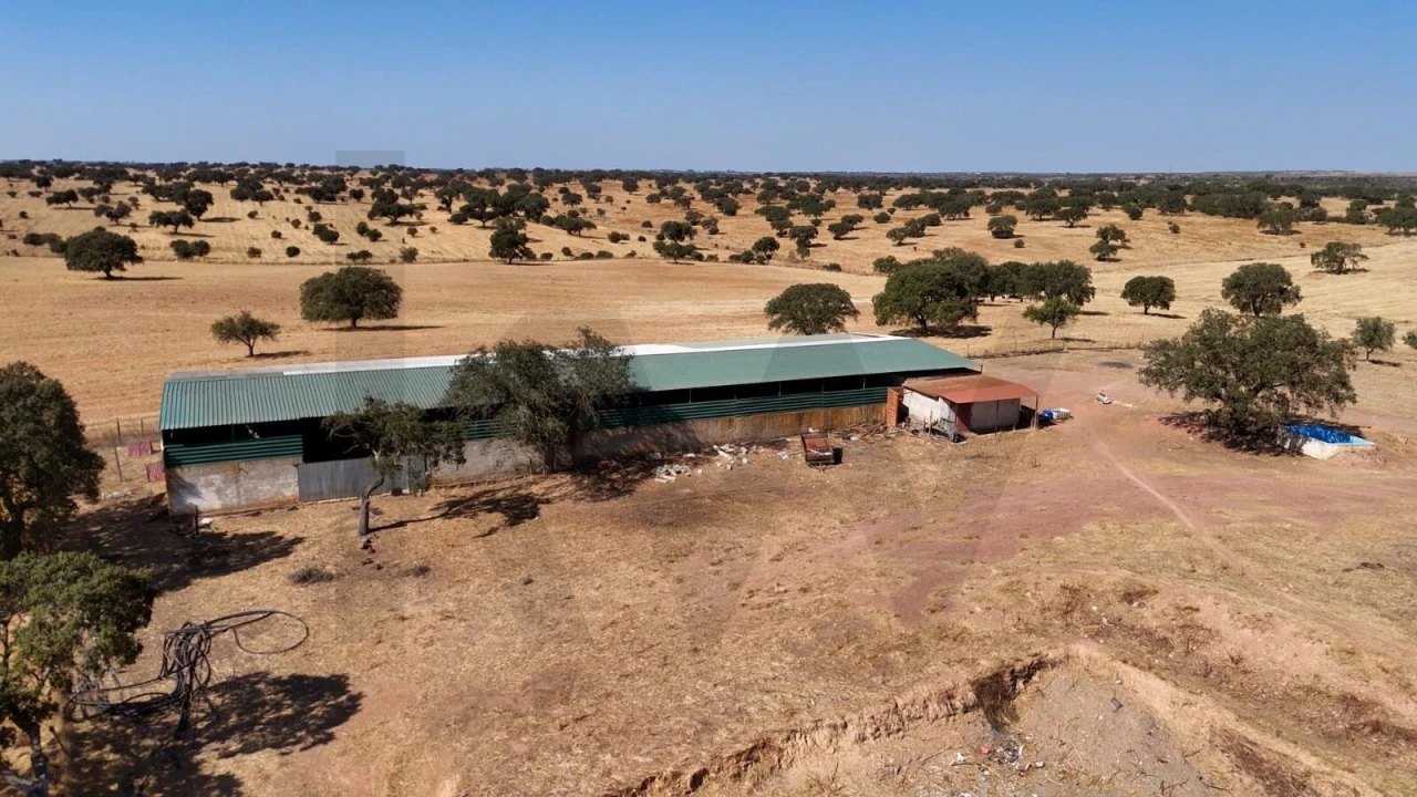 Quinta T7 para Venda em Albernoa e Trindade Foto 23