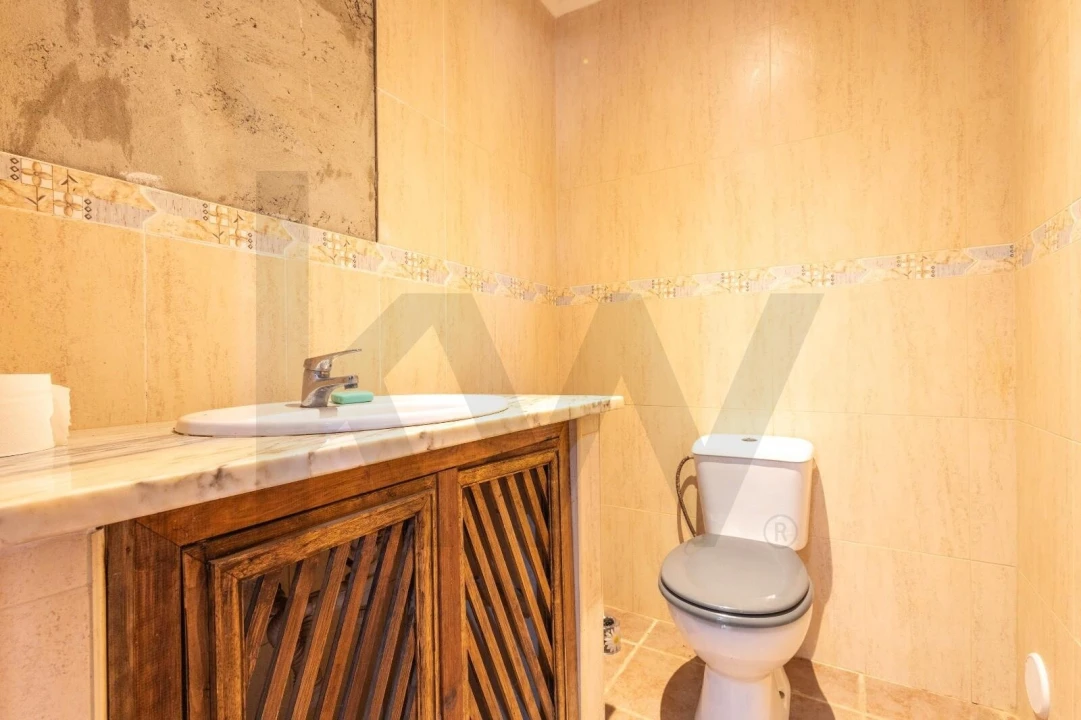 Quinta T7 para Venda em Albernoa e Trindade Foto 20