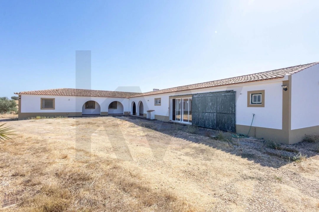 Quinta T7 para Venda em Albernoa e Trindade Foto 4