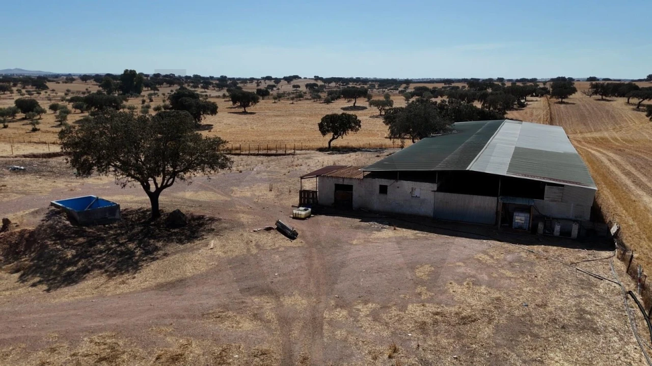 Quinta T7 para Venda em Albernoa e Trindade Foto 22