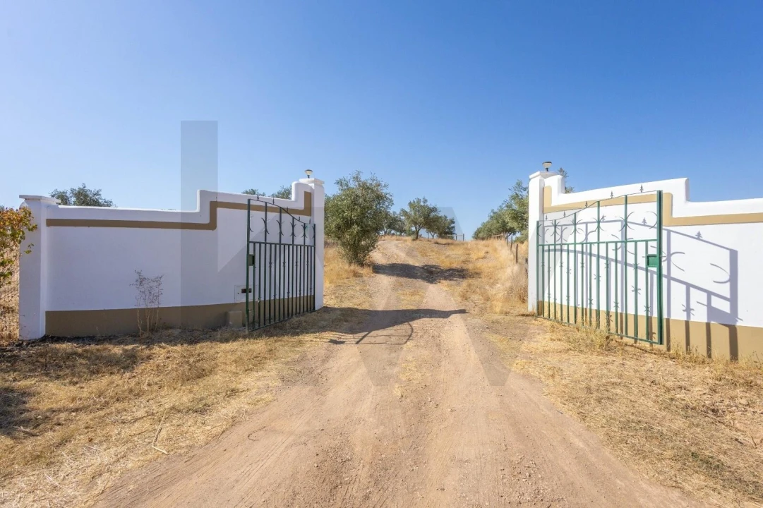 Quinta T7 para Venda em Albernoa e Trindade Foto 9