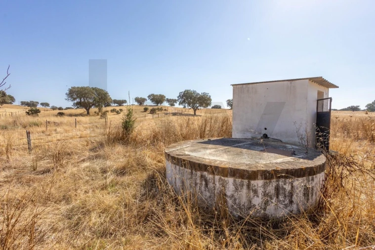 Quinta T7 para Venda em Albernoa e Trindade Foto 6