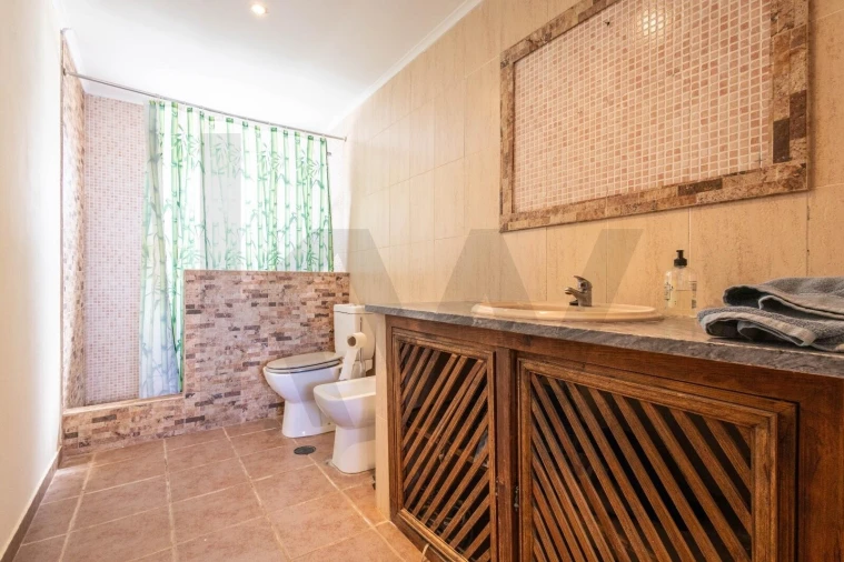 Quinta T7 para Venda em Albernoa e Trindade Foto 19